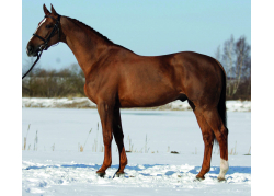 Maloubet de Pleville