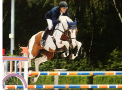 Best Choice VD Wareslage Z