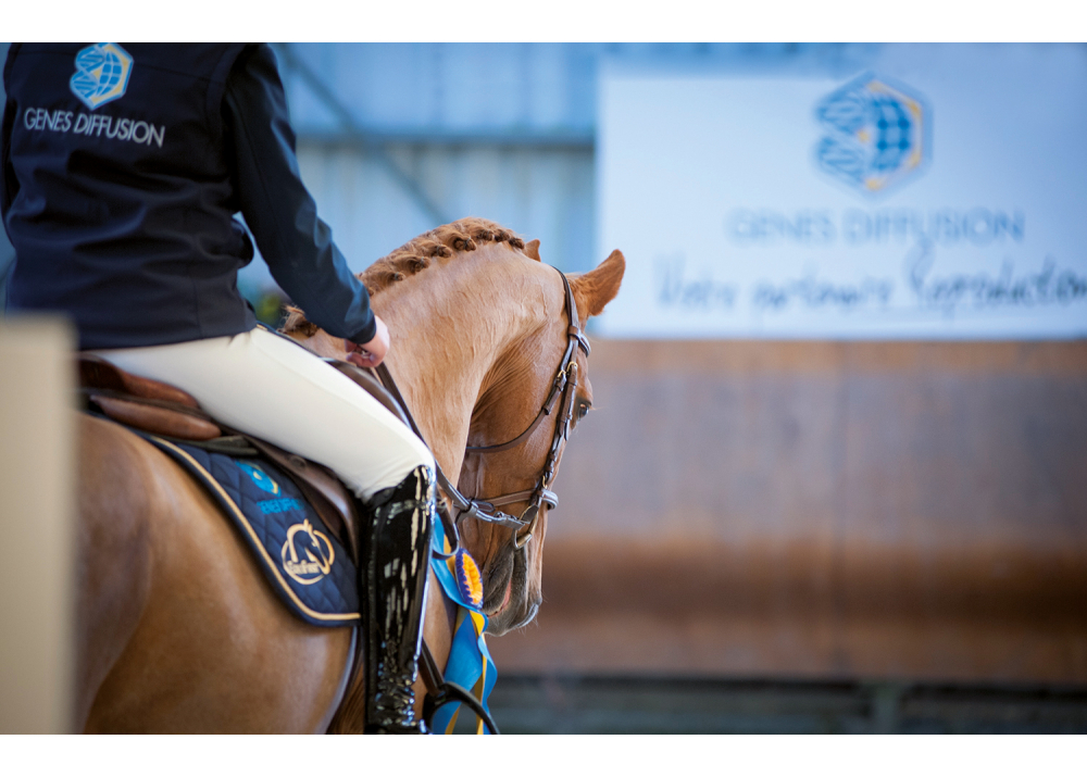 prix des rencontres internationales du trotteur français 2012