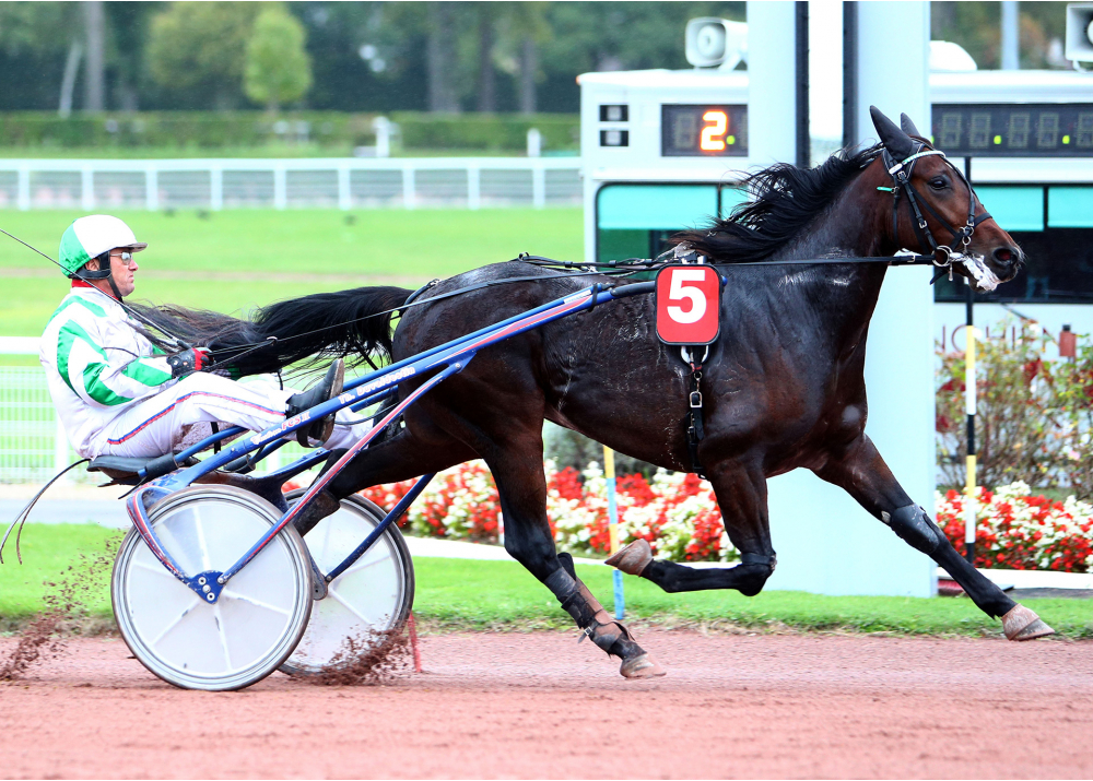 Fifty Kalouma Fifty Kalouma