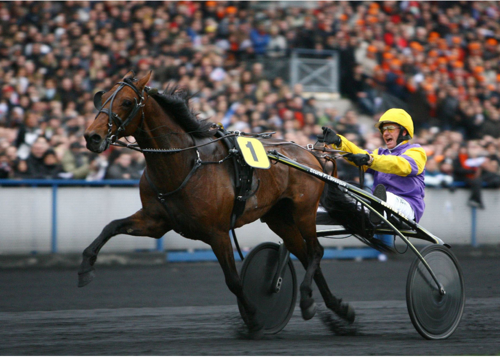 Offshore Dream Offshore Dream