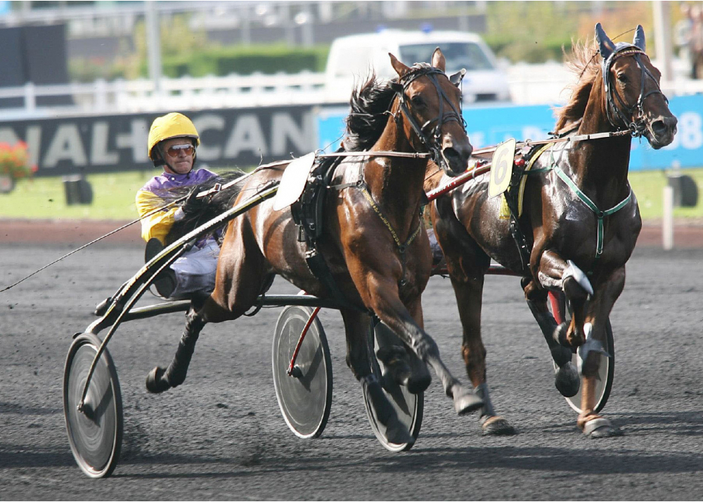 Offshore Dream Offshore Dream