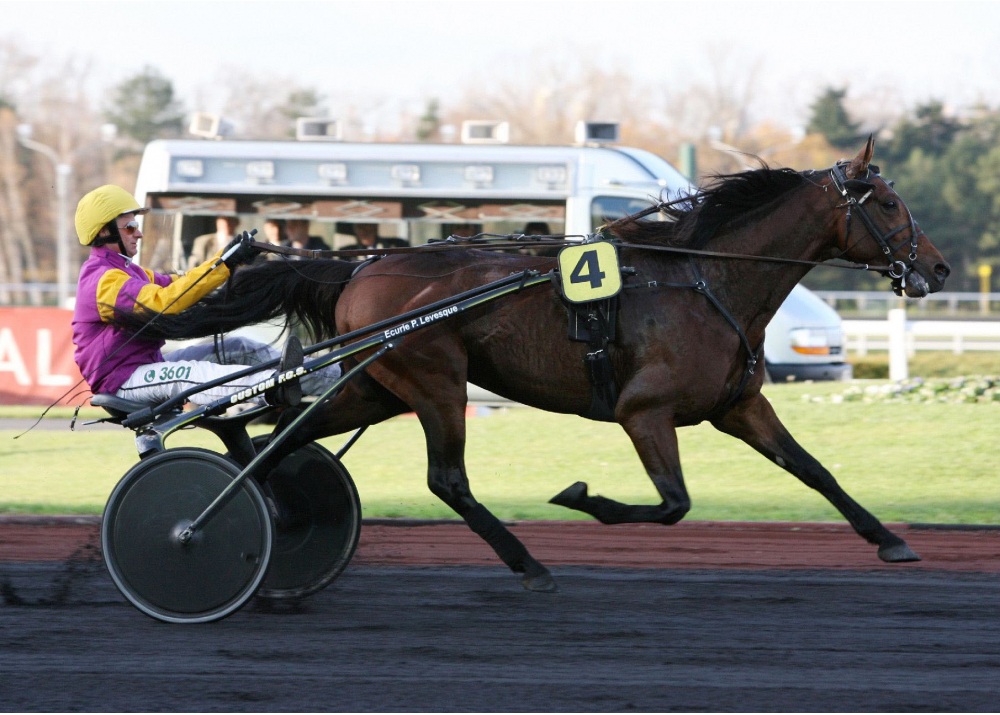 Offshore Dream Offshore Dream